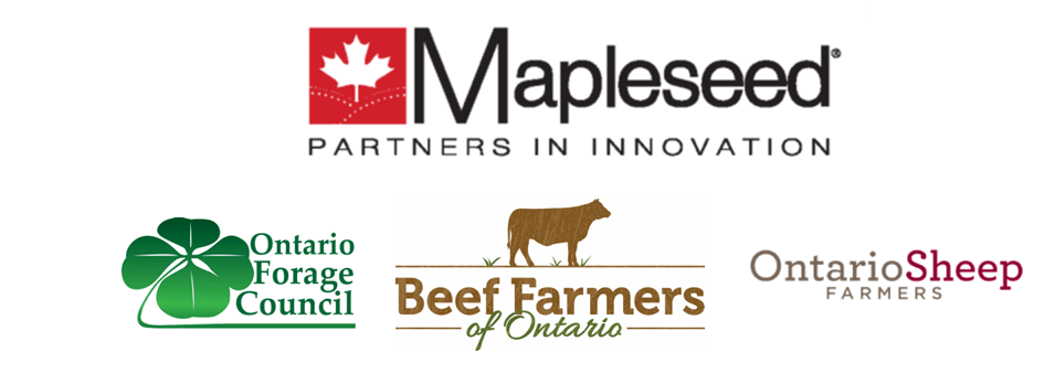 2020 banner for Mapleseed pasture competition