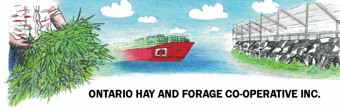 Ontario Hay and Forage Co-Operative banner (hands holding hay, a red container ship, cows feeding)