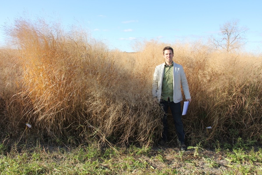Seed Breeding nursery of REAP-Canada on McGill site in Sainte-Anne-de-Bellevue, QC