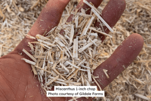 Miscanthus 1-Inch Chop