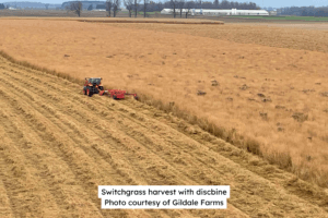 Switchgrass Discbine
