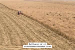 Switchgrass Harvest