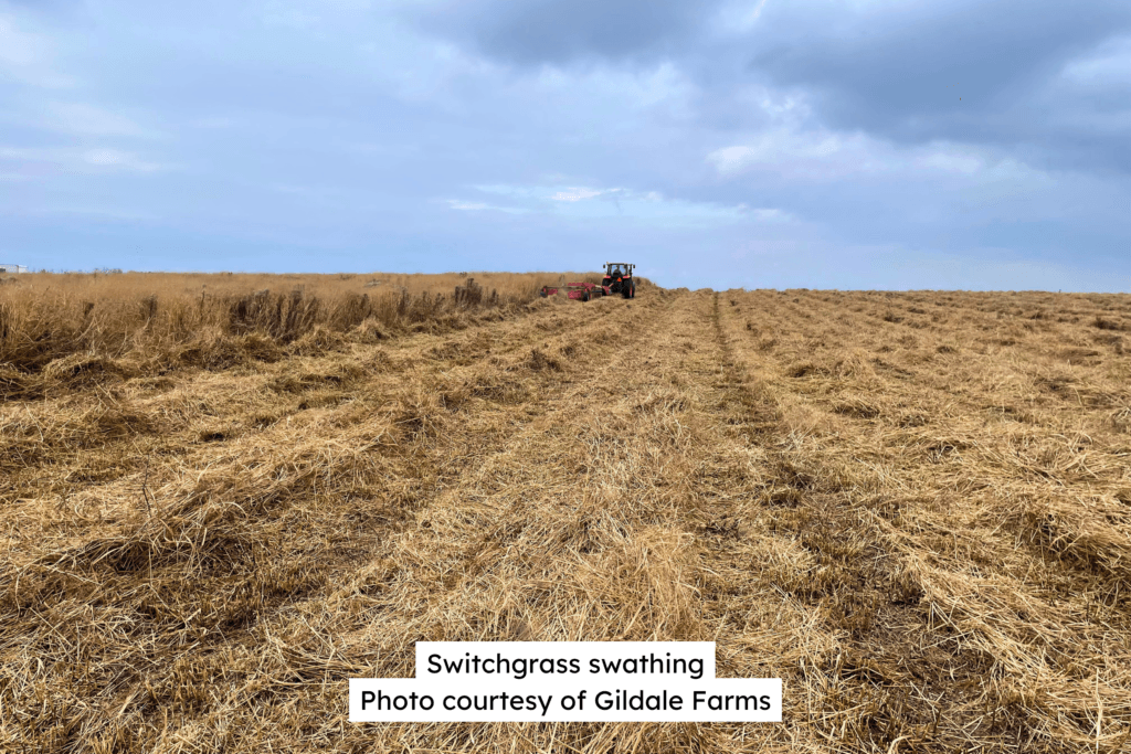 Switchgrass Swathing 2