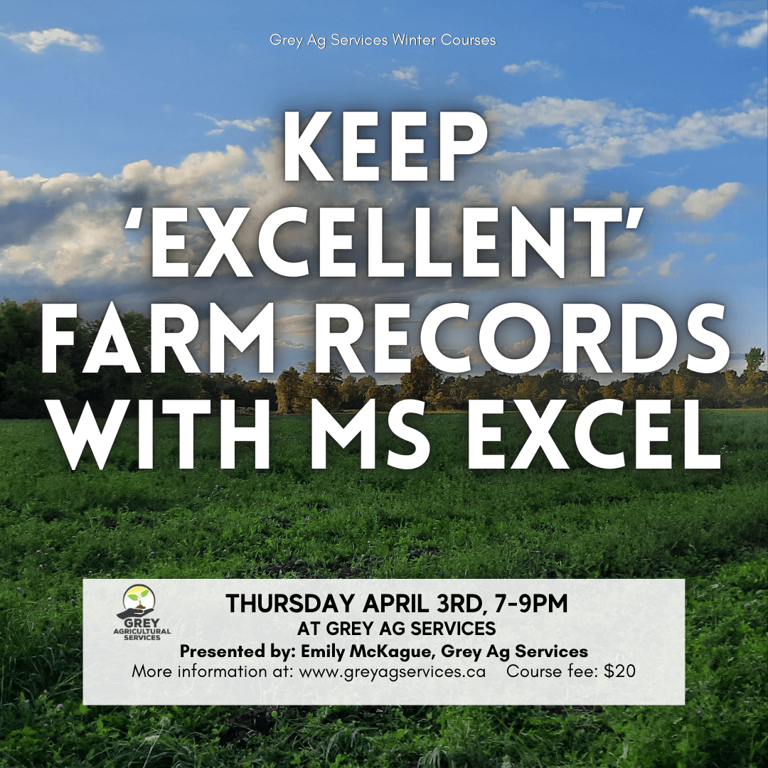 Excel Course (1080 x 1080 px)