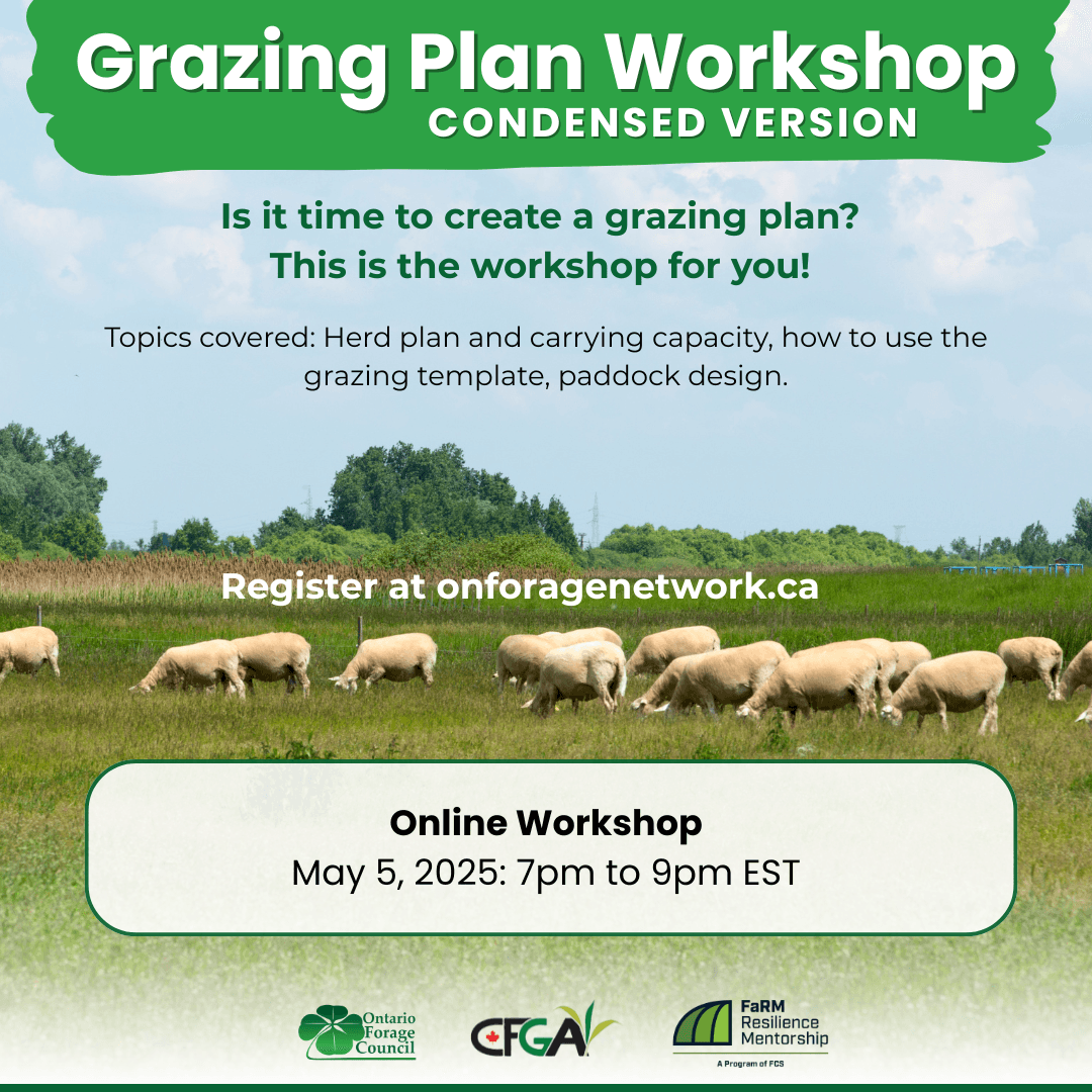 Grazing Plan Workshop – condensed