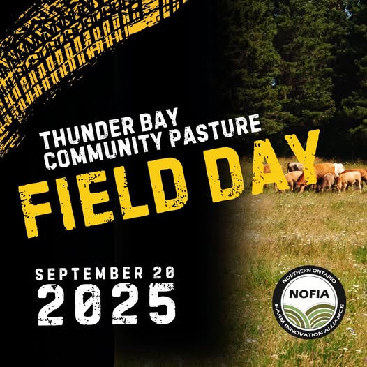 thunder bay field day