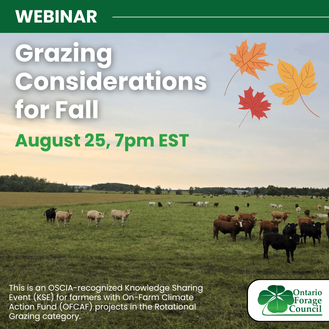 Grazing Considerations for Fall Graphic