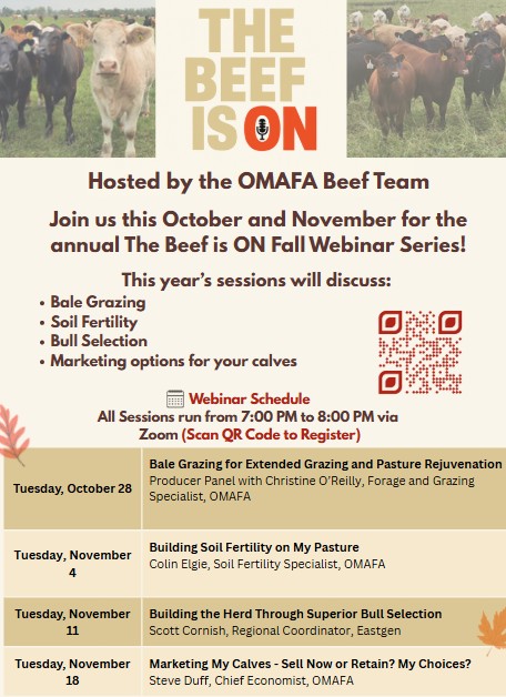 Beef Webinar Series