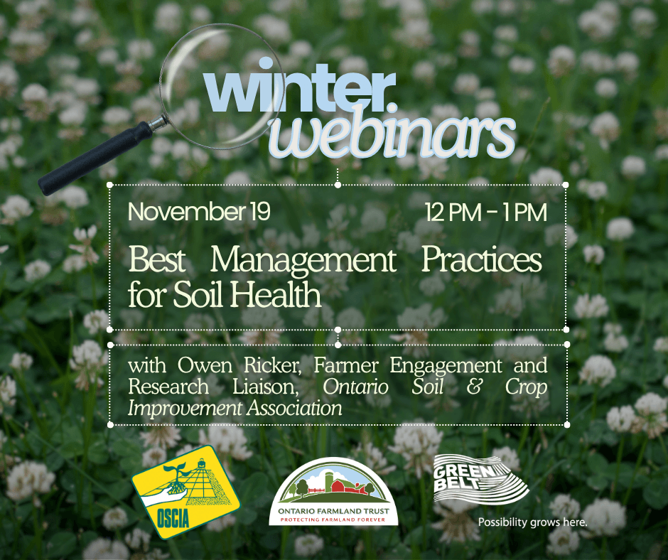 OFT November Webinar promo