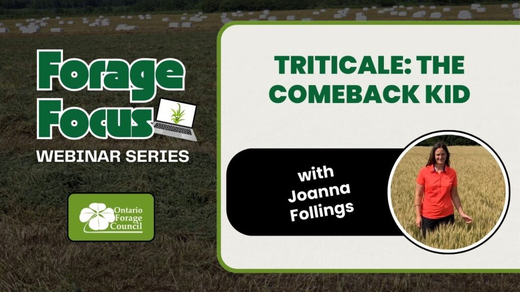 Forage Focus Night 1