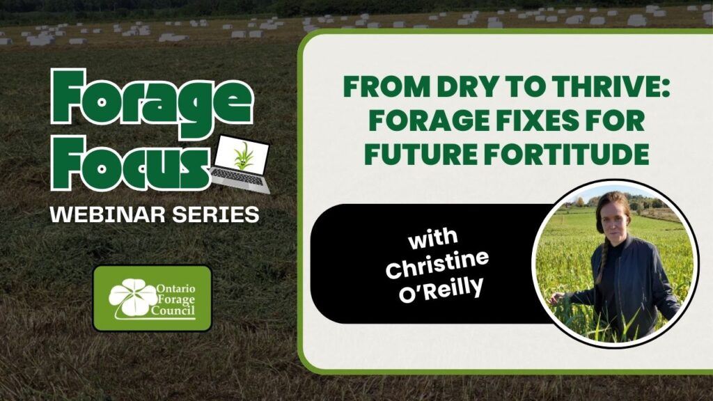 Forage Focus Night 3